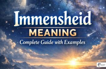 immensheid